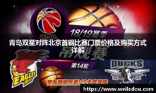 青岛双星对阵北京首钢比赛门票价格及购买方式详解
