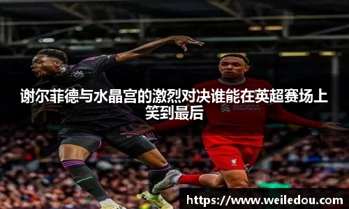 谢尔菲德与水晶宫的激烈对决谁能在英超赛场上笑到最后